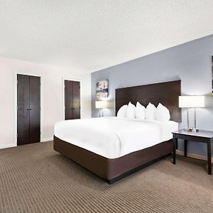 One-Bedroom King Suite